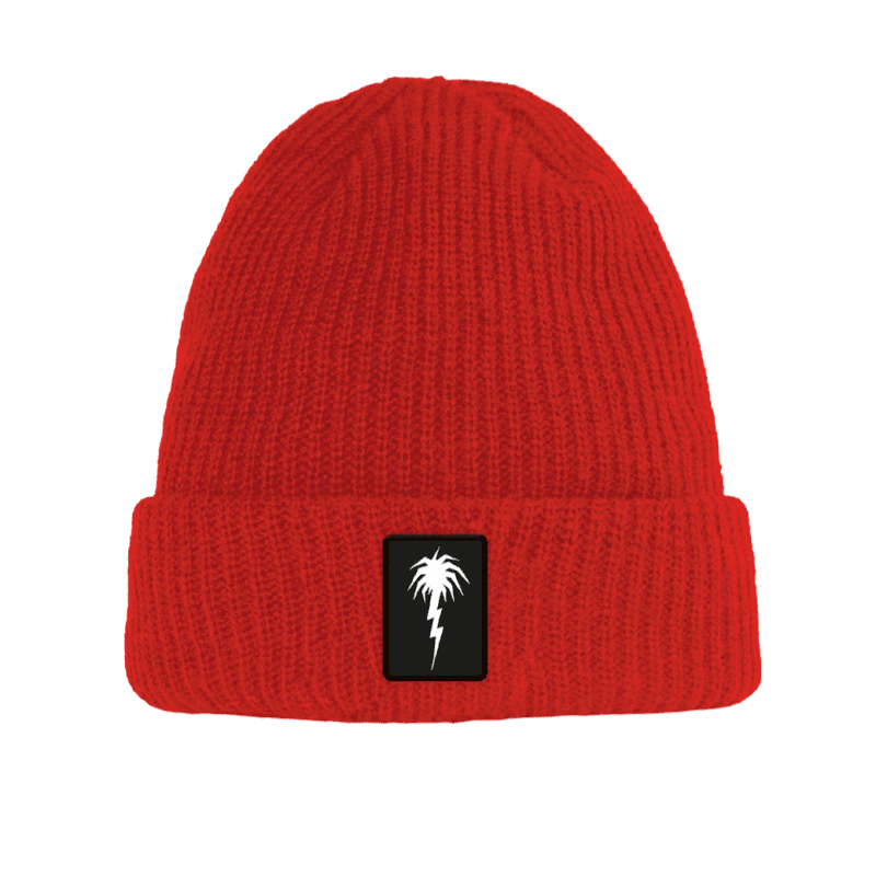 2223 palm beanie